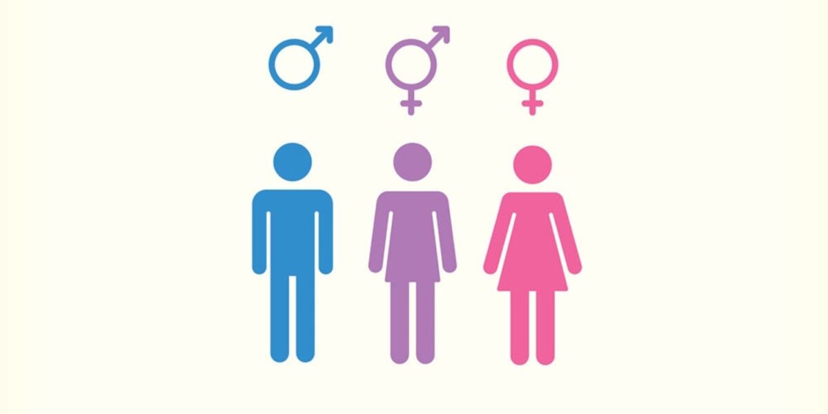 Türkiyede Toplumsal Cinsiyet Eşitsizliği Nedir Neler Yapılabilir 5565