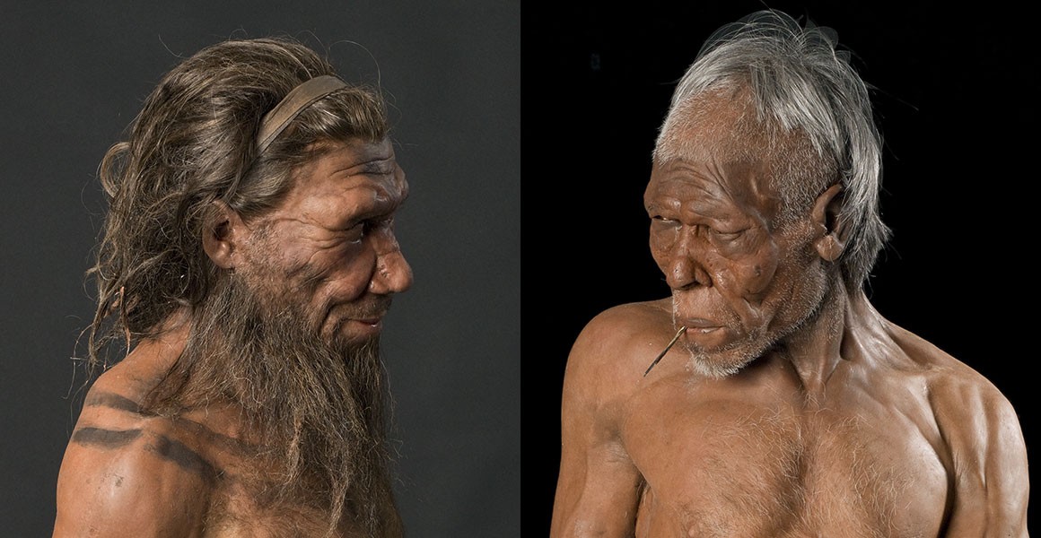 neandertal fosilleri