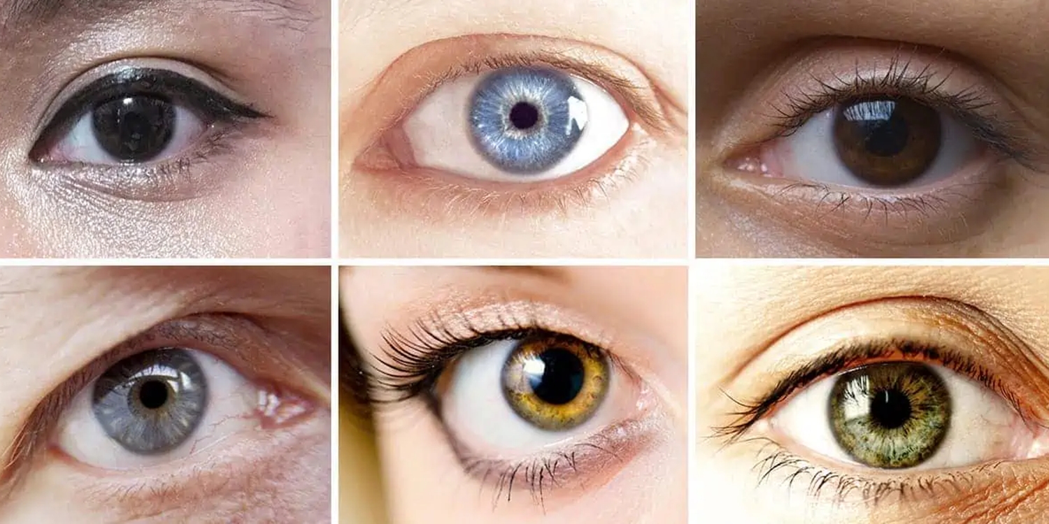 Цвет глаза зависит от пигмента. Цвет глаз. Смешанный цвет глаз. Разные оттенки глаз. Цвета глаз у человека.
