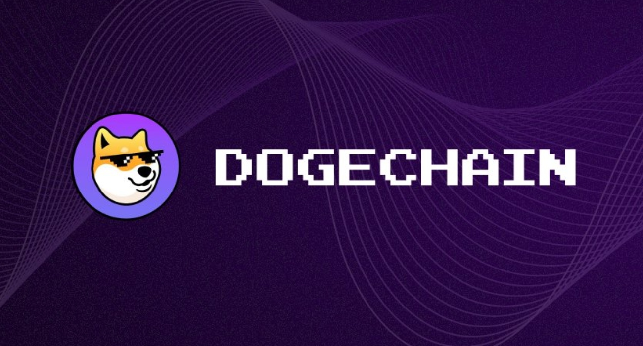 dogechain nedir