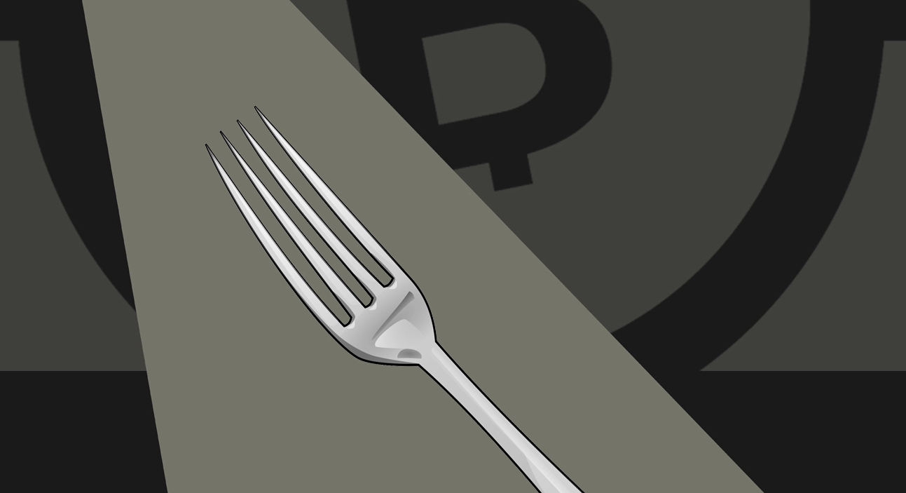 hard fork nedir