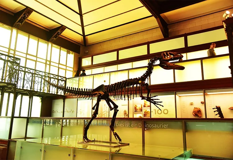 dinosaur museums