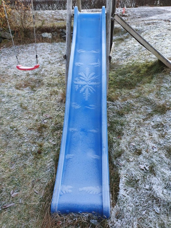 Sürpriz