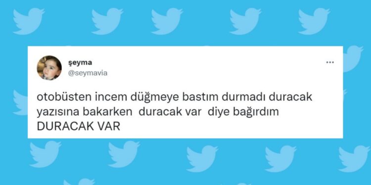 saçma sapan filmler