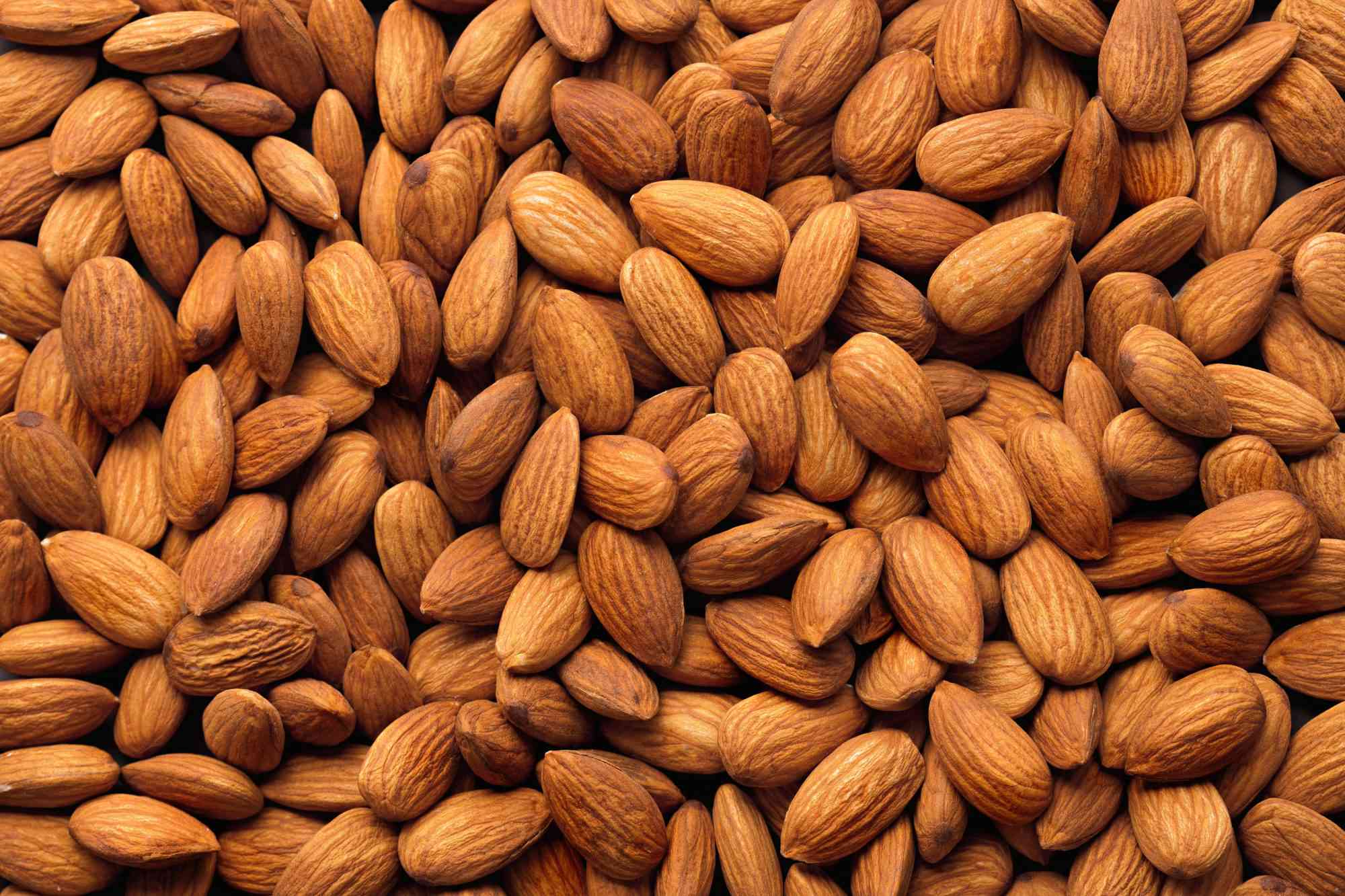 bitkisel protein kaynakları