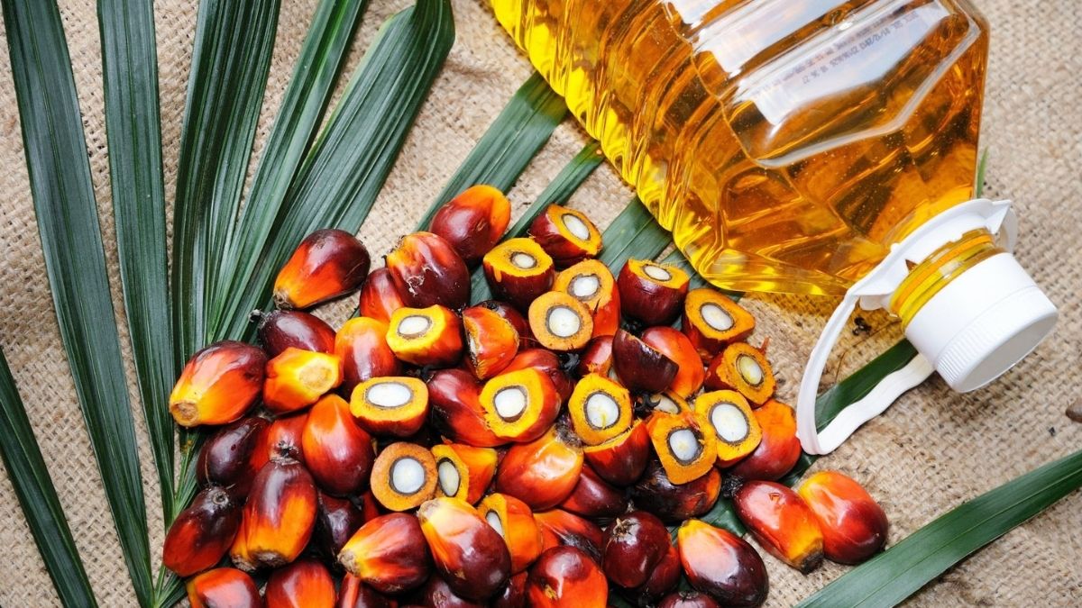 Birçok Gıda Ürününde Kullanılan Palm Yağının Zararları Nelerdir?