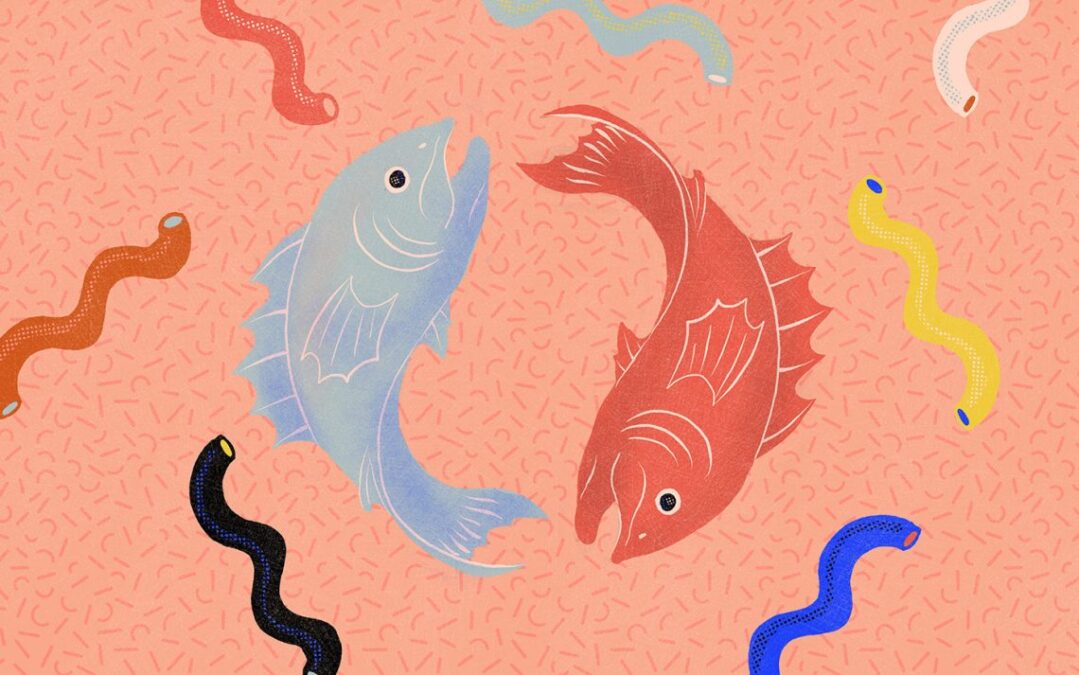 8-14 Aralık haftalık burç yorumları 2025