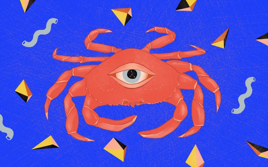 8-14 Aralık haftalık burç yorumları 2025